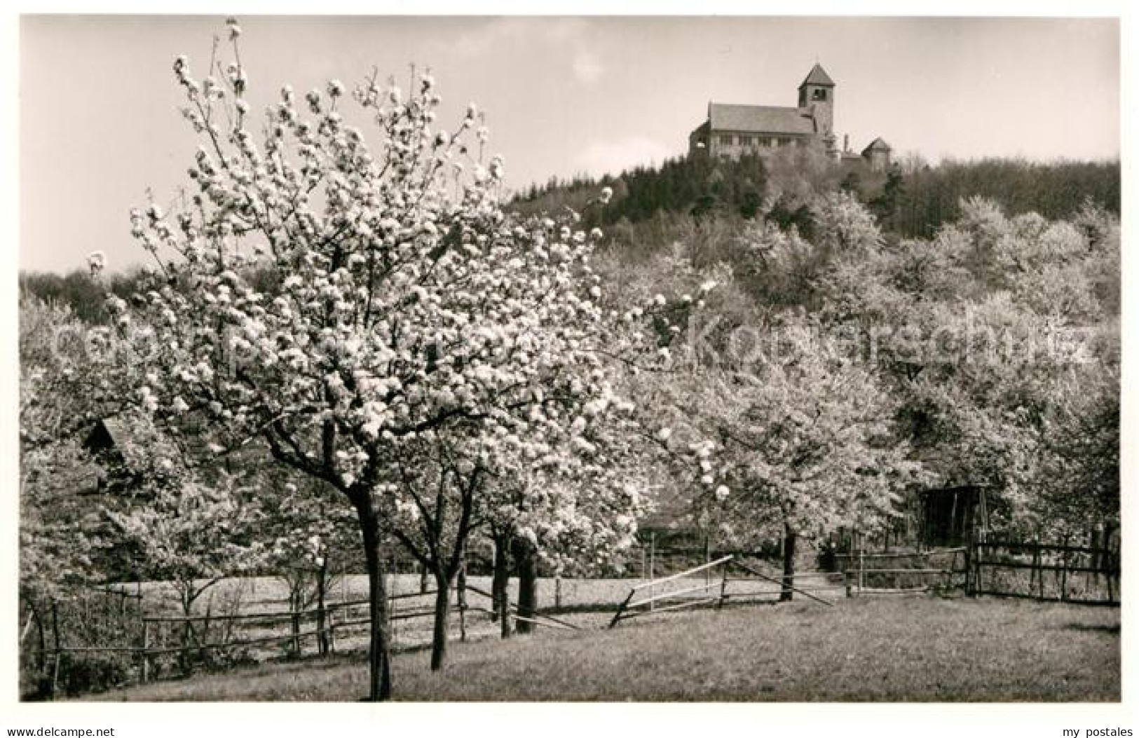 Weinheim Bergstrasse Wachenburg