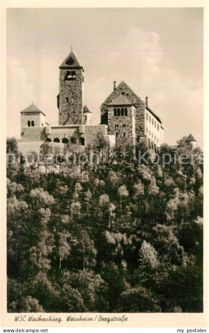 Weinheim Bergstrasse Wachenburg