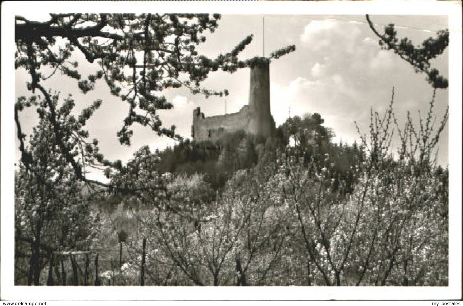 Weinheim Bergstrasse Weinheim Burg