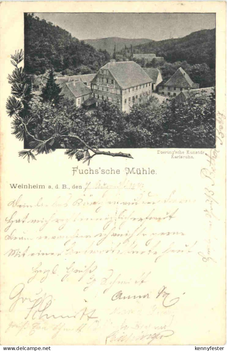 Weinheim - Fuchssche Mühle