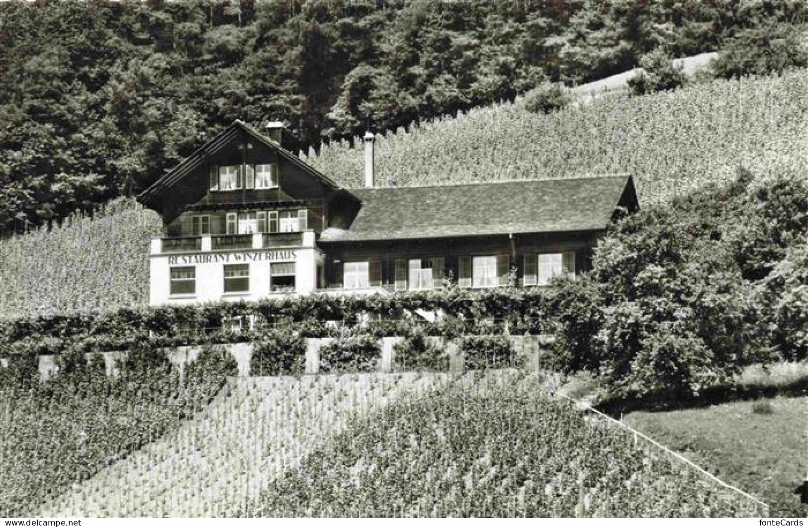 Weiningen  Dietikon ZH Restaurant Winzerhaus Weinberge