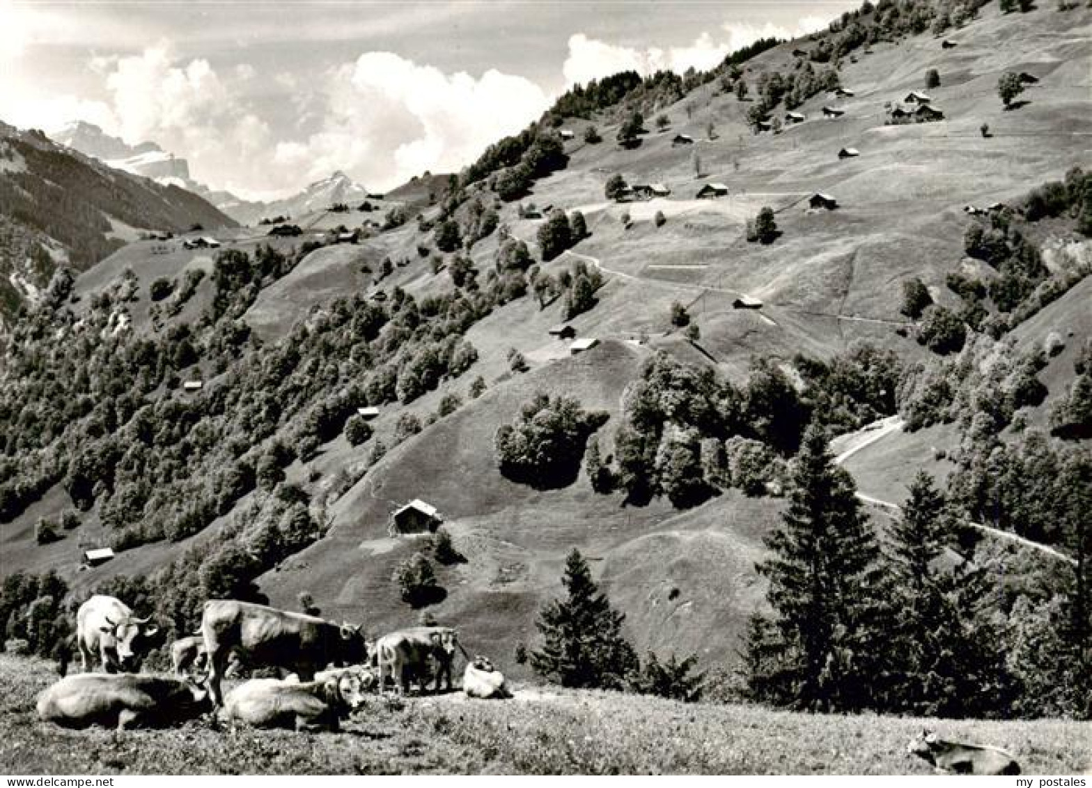 Weissenberge ob Matt Panorama