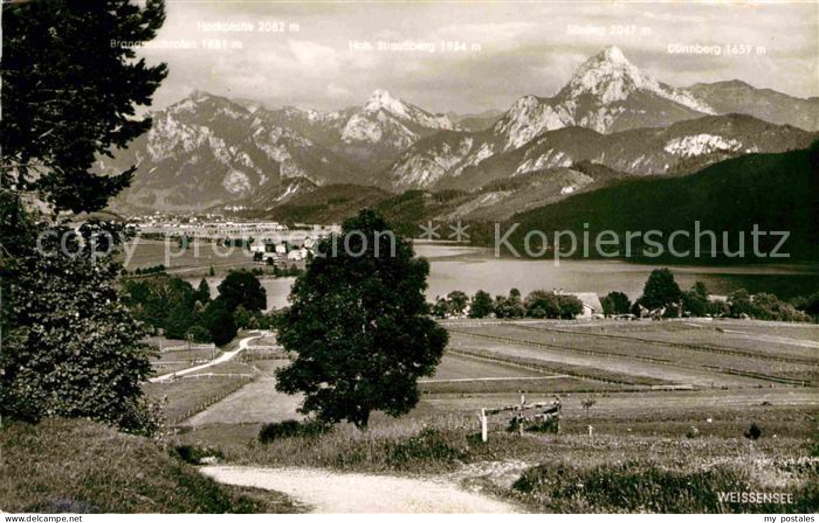 Weissensee Fuessen Fuessen Hochgebirge Allgaeu