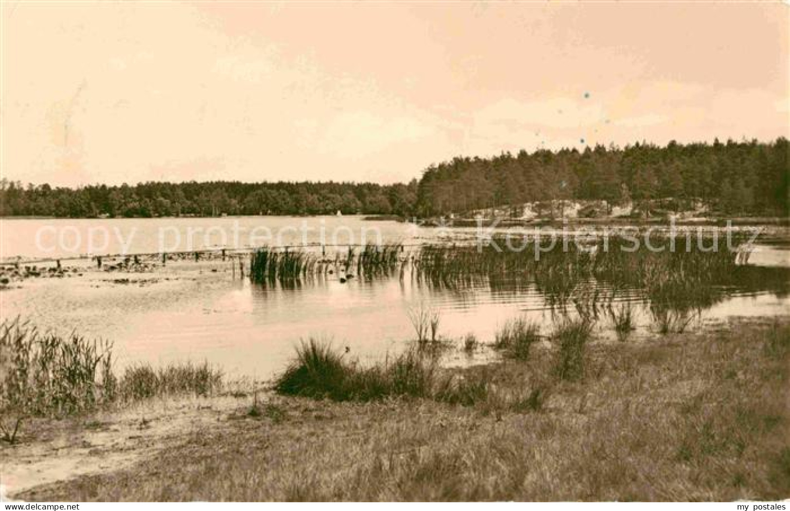 Weisswasser Oberlausitz Braunsteich