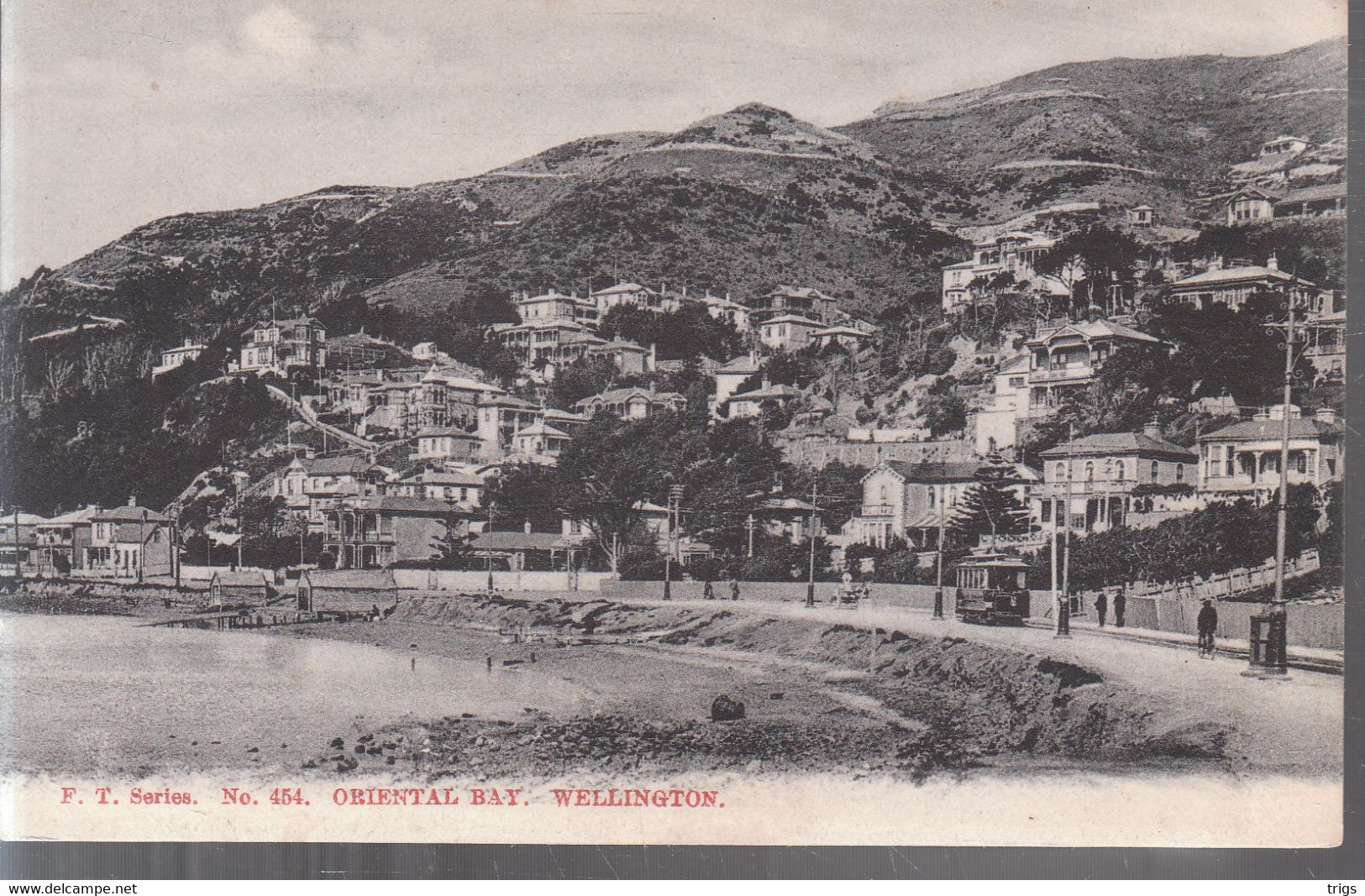 Wellington - Oriental Bay