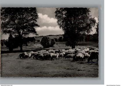 50289157 - Lueneburger Heide Fotokarte