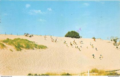 B47998 Cape Cod Dunes  usa