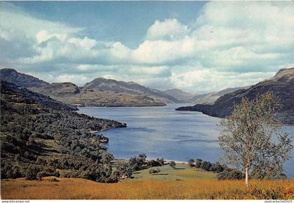 B87297 loch lomond dunbartonshire  scotland