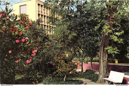 B91001 mostaganem jardin public  algeria