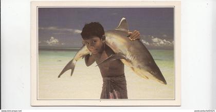 BF17841 maldives islands  whithe tipped shark types child  front/back image