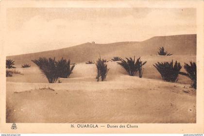 BF9213 ouargla dunes des chotts algeria     Algeria