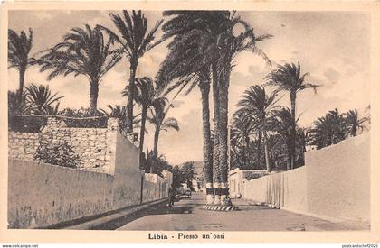 br104394 presso du oasi libia africa real photo