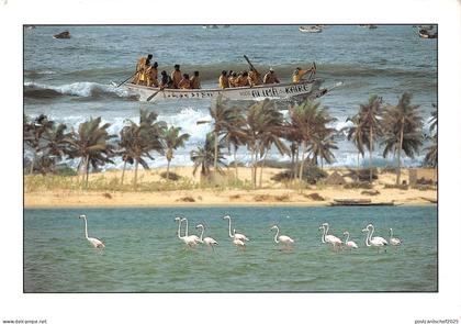 BR49700 Senegal region de st louis    Senegal