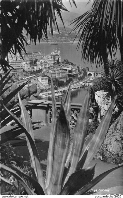 BR53978 Monte carlo et le casino vus du jardin exotique   Monaco