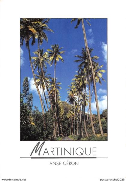 BT1986 martinique anse ceron caribbean