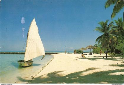 BT3605 Maldive islands ship bateaux    Maldives