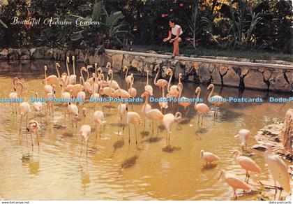 D105292 Nassau. The Bahama Islands. Beautiful Ardostra Gardens. Calypso Distribu