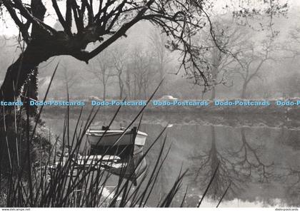 D119589 Luskell Va Bagig War Gribell an Dour. Jos le Doare. Modele Depose