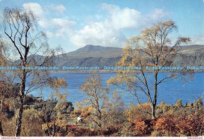 D120050 Loch Ness from Inverfarigaig Inverness shire Dixon