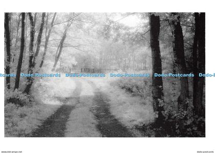 D122600 Summer Winter Reflex Publishing Gary Phillips