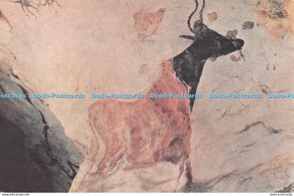 D128132 Montignac sur Vezere Dordogne Grotte de Lascaux Diverticule Axial Bovide