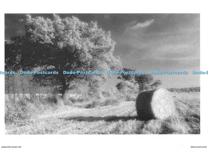 D129981 The Last Straw Reflex Publishing Gary Phillips