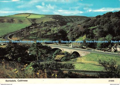 D133074 Berriedale Caithness 21645 Charles Skiltons Postcard Series