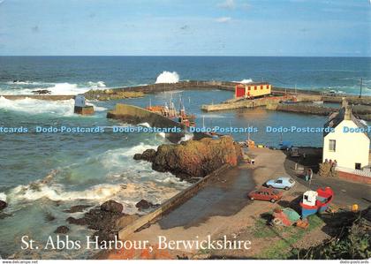 D134797 St Abbs Harbour Berwickshire Hail Caledonia Product Whiteholme