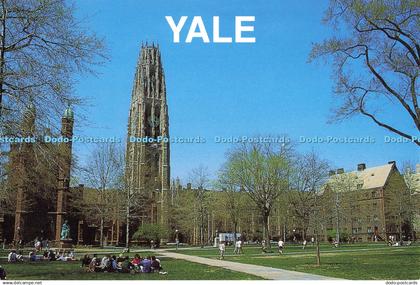 D136112 Yale New Haven Connecticut New England Photo Thomas P Benincas Jr