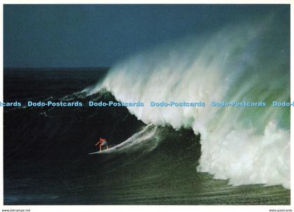 D136355 Hawaii Another Big One at Waimea Bay on the Northshore of Oahu Impact Jo