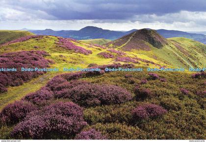 D140727 Carding Mill Valley and Shropshire Hills Shropshire Looking across Devil