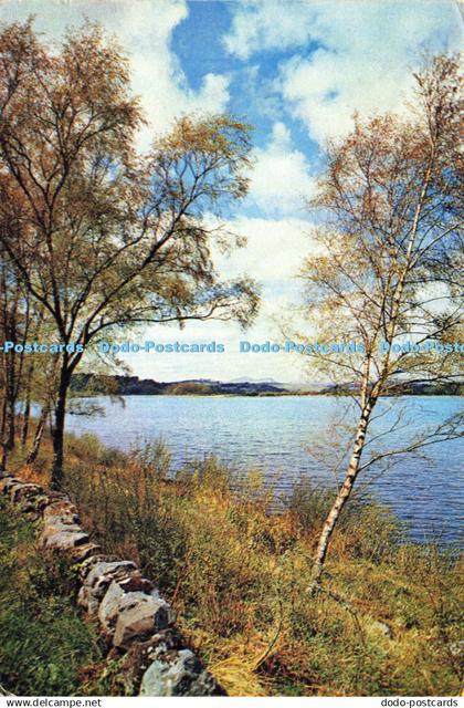 D141536 Loch Ken near Galloway Kirkcudbrightshire Dixon