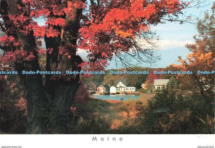 D142088 Maine Autumn Colors at Cape Porpoise Near Kennebunkport Ed Elvidge Coast