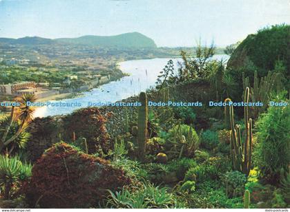 D163440 Forio D Ischia. Panorama e Giardino Esotico. Di Meglio. A. G. M. 1986