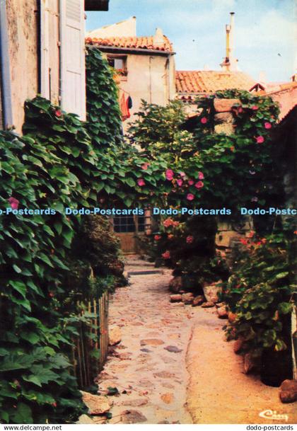 D173228 Ramatuelle. Var. Rue des Amoureux. Cim