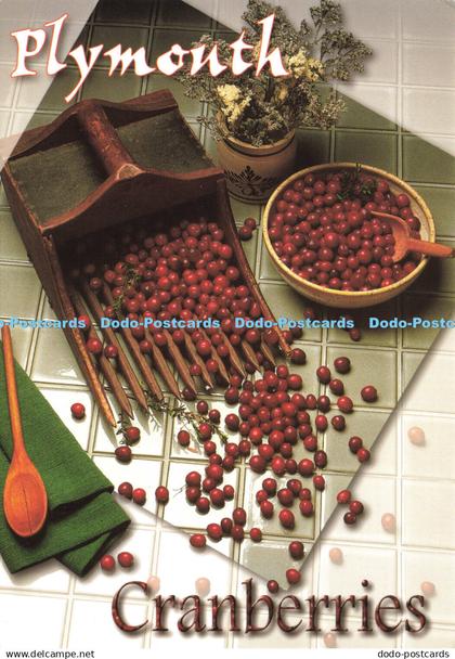 D186033 Plymouth Cranberries. Plymouth Scenics. Meds Maps. Carol Christensen
