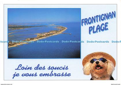 D190554 Frontignan Plage. Loin des soucis je vous embrasse. Littoral Mediterrane
