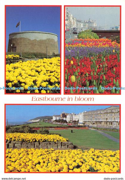 D198348 Eastbourne in Bloom Eastbourne Tourism and Leisure Department Judges C 1