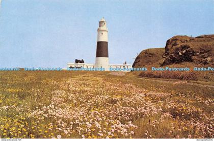 D199996 Alderney C I The Lighthouse States of Alderney