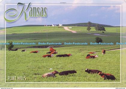 D200812 Kansas Flint Hills John Avery 2003