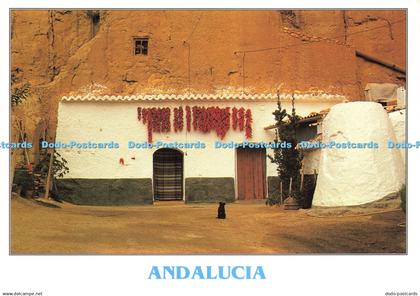 D202307 Andalucia Tintore Emilio Tintore