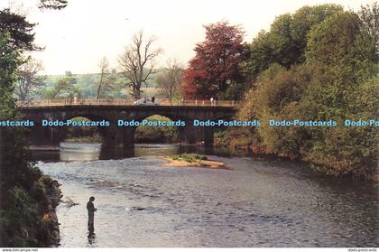 D202463 Worcestershire Tenbury Wells Carefree Coasters