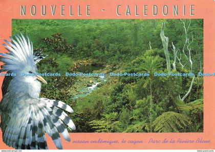 D206433 Nouvelle Caledonie 1993