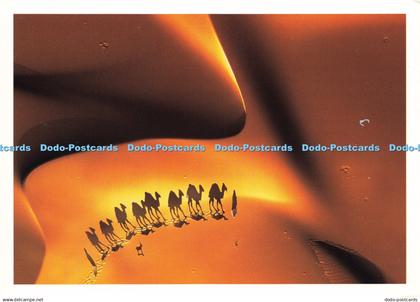 D207837 Mauritania Anonyme Nouvelles Images Firefly Productions The Stock Market