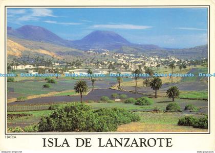 D212421 Isla de Lanzarote Haria A Murillo