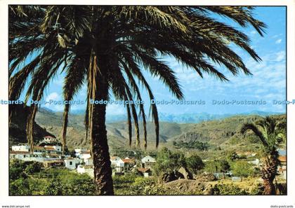 D215347 Islas Canarias Manuel Brito Auyanet