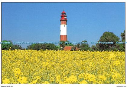 D216684 Leuchtturme Flugge Fehmarn Eiland Von Ottmar Heinze