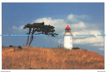 D218457 Leuchtturme Dornbusch Hiddensee Eiland Von Paul Schafer