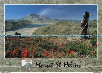 D223815 Mount St Helens Impact Gary Braasch