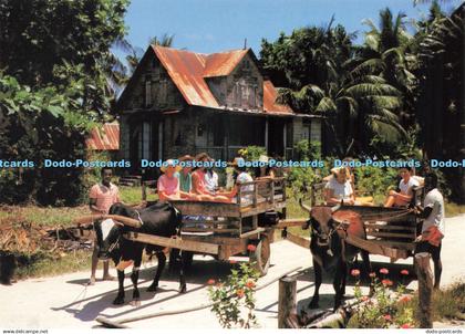 D224919 Seychelles La Digue Eden